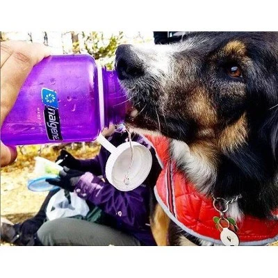 Nalgene 32oz Wide Mouth Water Bottle Gray