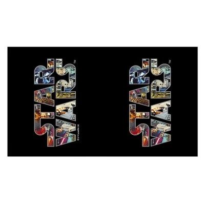 Star Wars Epic Logo Stainless Steel Water Bottle