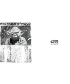 Star Wars Yoda Words of Wisdom Stainless Steel Water Bottle