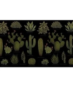 Lost Gods Botanical Cactus Stainless Steel Water Bottle